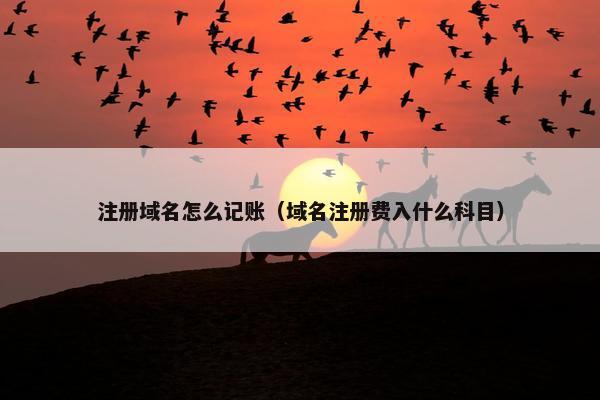 注册域名怎么记账（域名注册费入什么科目）