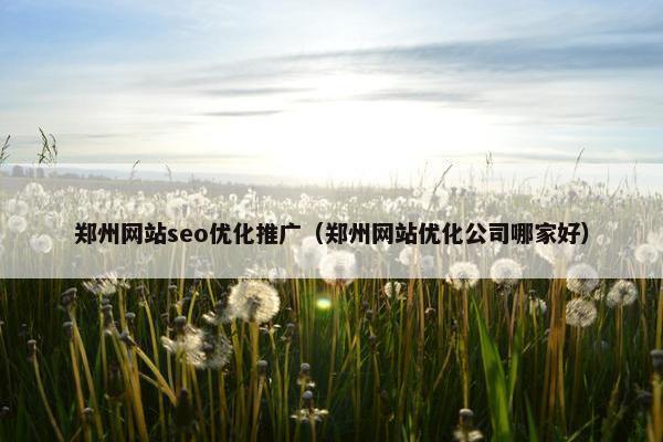郑州网站seo优化推广（郑州网站优化公司哪家好）