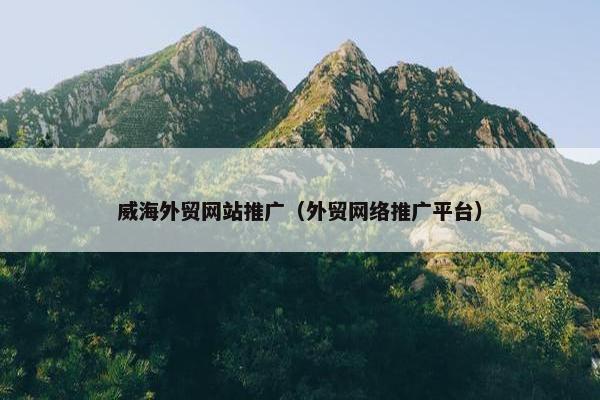 威海外贸网站推广（外贸网络推广平台）
