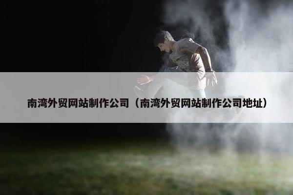 南湾外贸网站制作公司（南湾外贸网站制作公司地址）