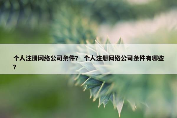 个人注册网络公司条件？ 个人注册网络公司条件有哪些？