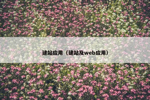 建站应用（建站及web应用）