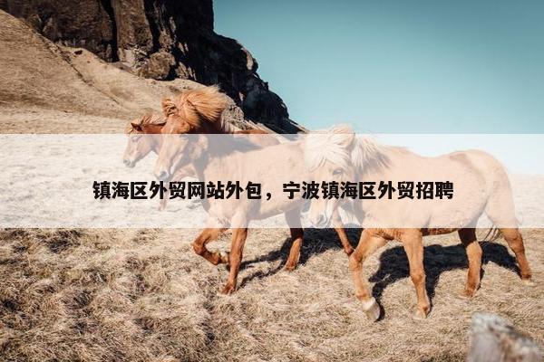 镇海区外贸网站外包，宁波镇海区外贸招聘