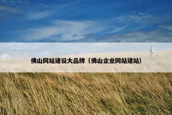 佛山网站建设大品牌（佛山企业网站建站）