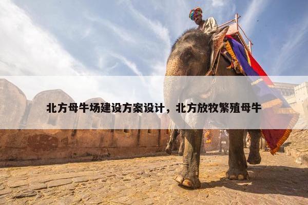 北方母牛场建设方案设计，北方放牧繁殖母牛