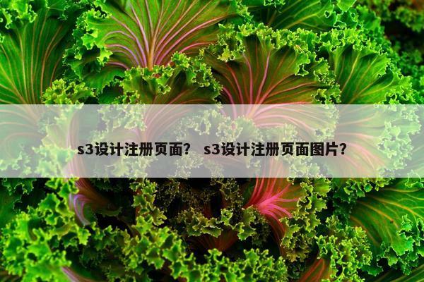 s3设计注册页面？ s3设计注册页面图片？