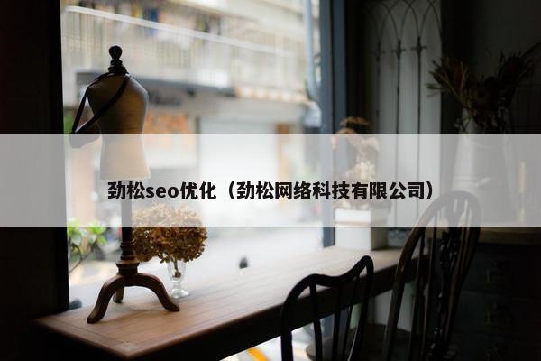 劲松seo优化（劲松网络科技有限公司）