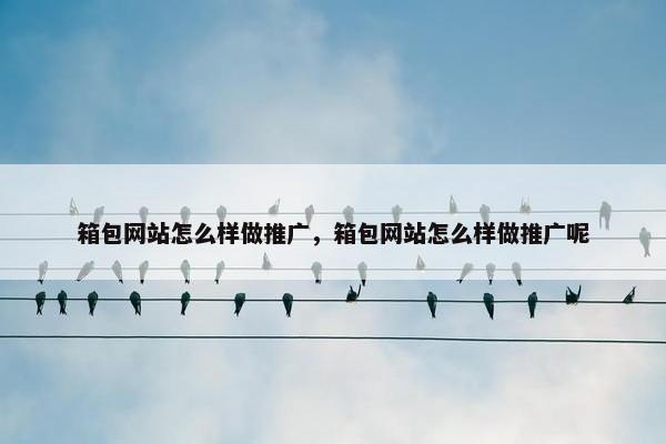 箱包网站怎么样做推广，箱包网站怎么样做推广呢