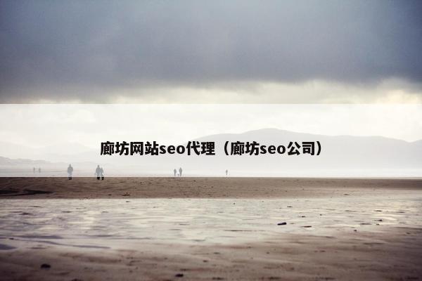 廊坊网站seo代理（廊坊seo公司）