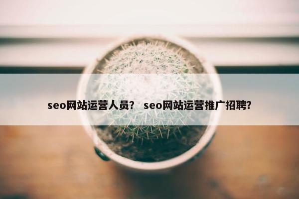 seo网站运营人员？ seo网站运营推广招聘？
