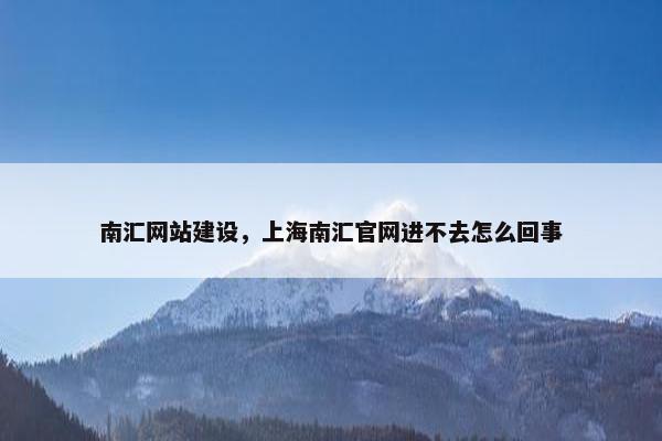 南汇网站建设，上海南汇官网进不去怎么回事