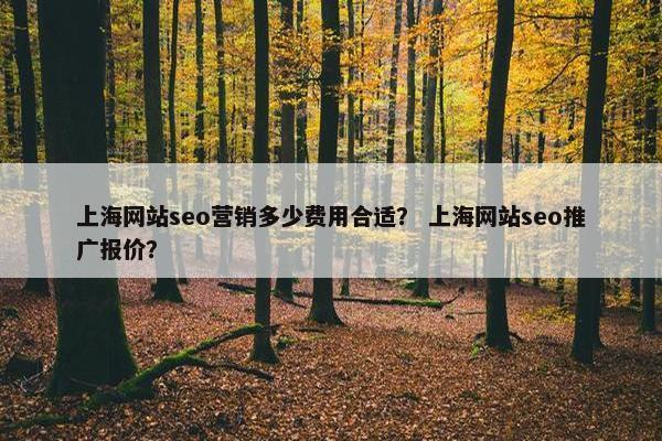 上海网站seo营销多少费用合适？ 上海网站seo推广报价？