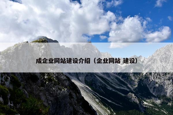 成企业网站建设介绍（企业网站 建设）