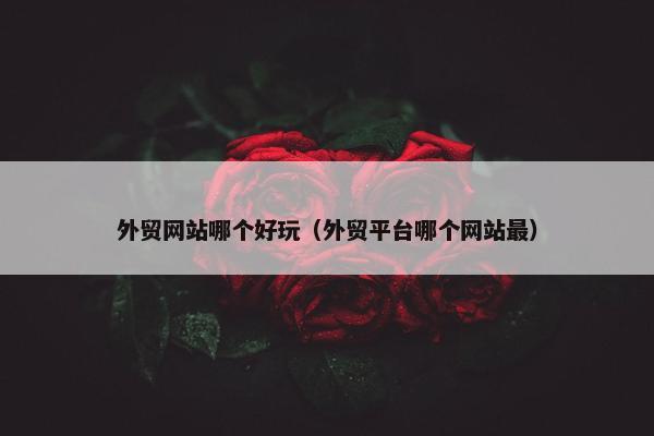 外贸网站哪个好玩（外贸平台哪个网站最）