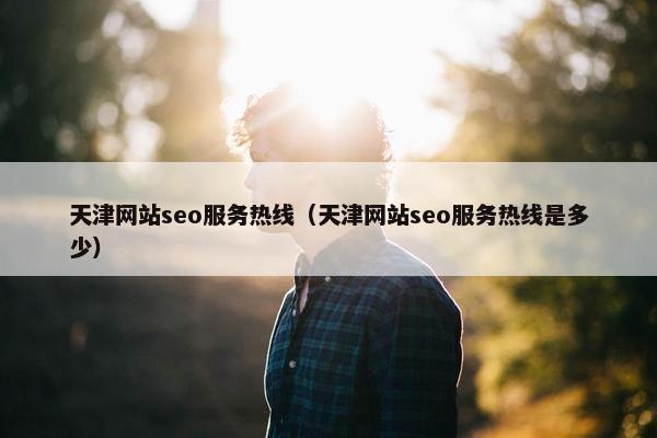 天津网站seo服务热线（天津网站seo服务热线是多少）