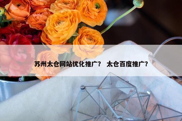 苏州太仓网站优化推广？ 太仓百度推广？