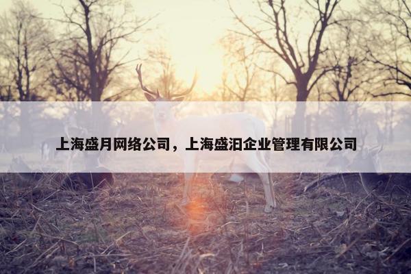 上海盛月网络公司，上海盛汩企业管理有限公司