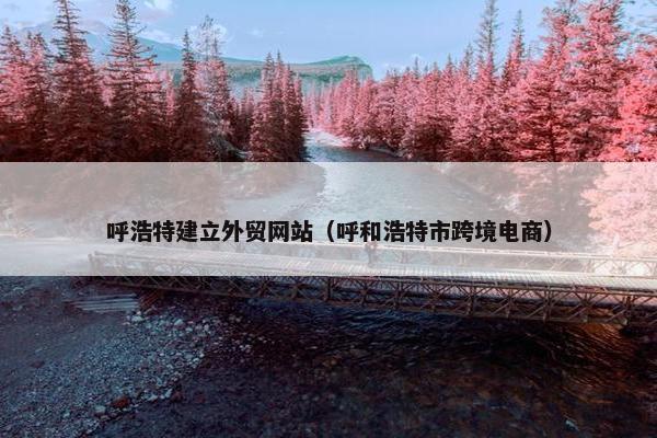 呼浩特建立外贸网站（呼和浩特市跨境电商）