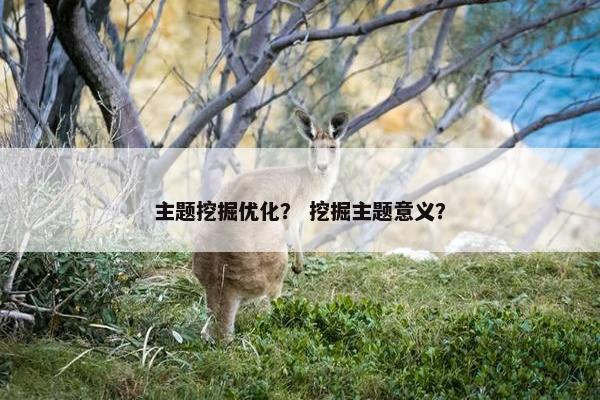 主题挖掘优化？ 挖掘主题意义？