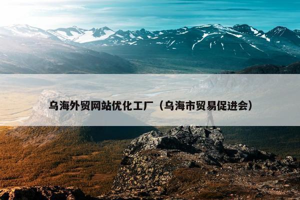 乌海外贸网站优化工厂（乌海市贸易促进会）