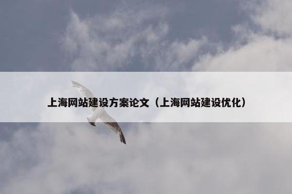 上海网站建设方案论文（上海网站建设优化）