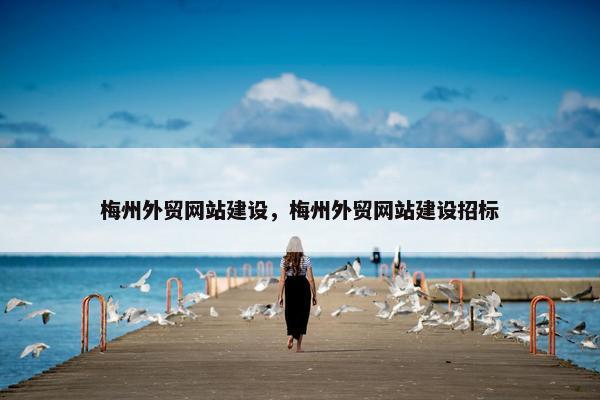 梅州外贸网站建设，梅州外贸网站建设招标