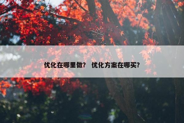 优化在哪里做？ 优化方案在哪买？