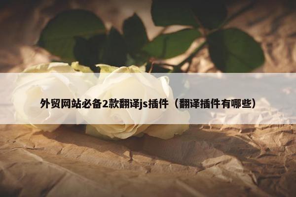 外贸网站必备2款翻译js插件（翻译插件有哪些）