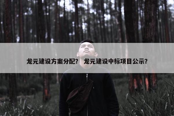 龙元建设方案分配？ 龙元建设中标项目公示？