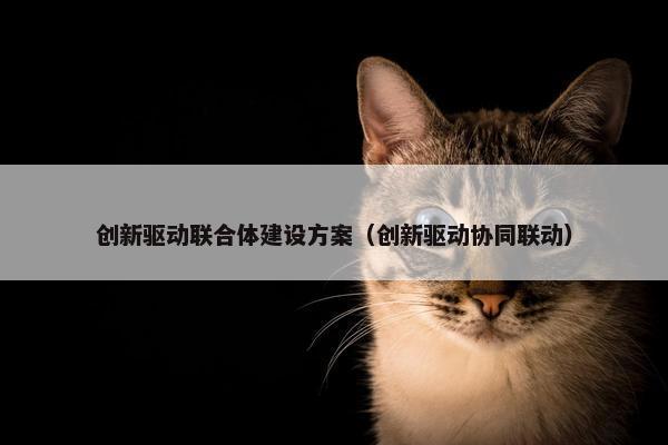 创新驱动联合体建设方案（创新驱动协同联动）