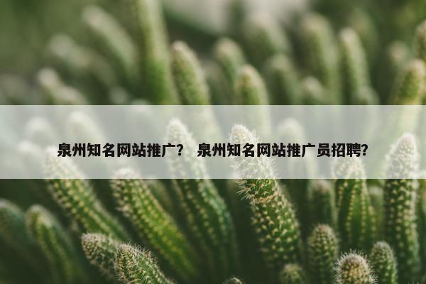 泉州知名网站推广？ 泉州知名网站推广员招聘？