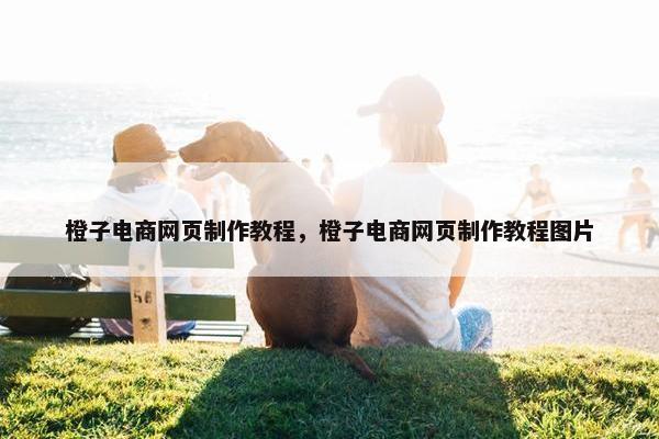 橙子电商网页制作教程，橙子电商网页制作教程图片