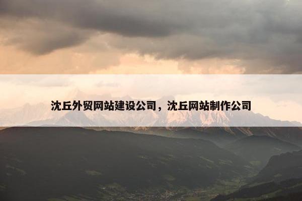 沈丘外贸网站建设公司，沈丘网站制作公司