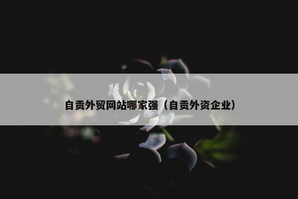 自贡外贸网站哪家强（自贡外资企业）