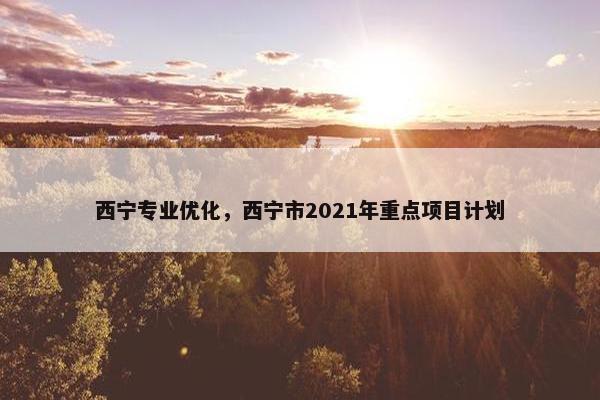 西宁专业优化，西宁市2021年重点项目计划
