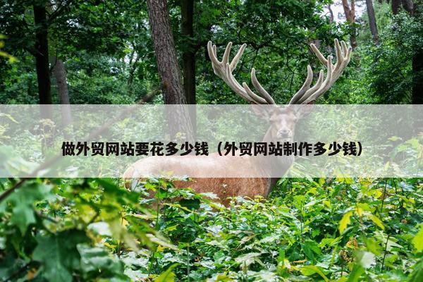 做外贸网站要花多少钱（外贸网站制作多少钱）