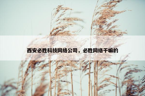 西安必胜科技网络公司，必胜网络干嘛的