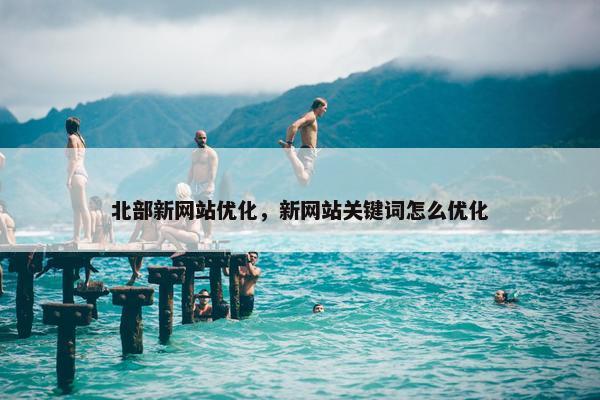 北部新网站优化，新网站关键词怎么优化