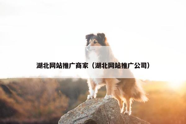 湖北网站推广商家（湖北网站推广公司）