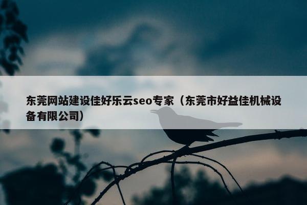 东莞网站建设佳好乐云seo专家（东莞市好益佳机械设备有限公司）
