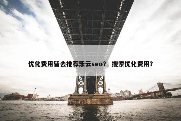 优化费用皆去推荐乐云seo？ 搜索优化费用？