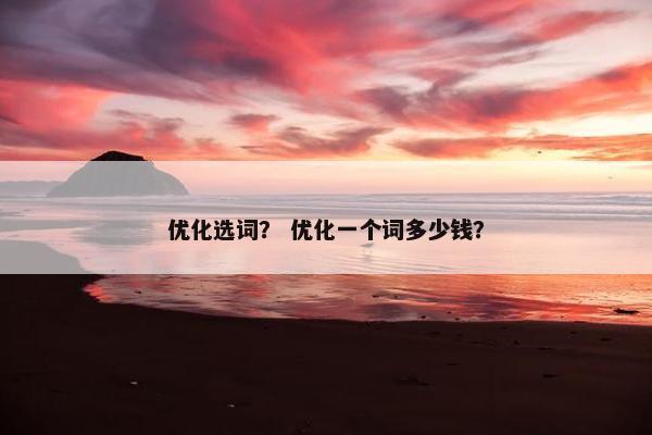 优化选词？ 优化一个词多少钱？