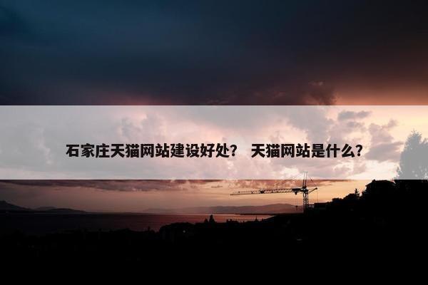 石家庄天猫网站建设好处？ 天猫网站是什么？