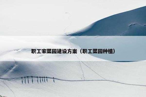 职工家菜园建设方案（职工菜园种植）