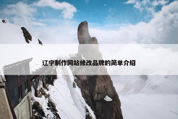 辽宁制作网站修改品牌的简单介绍