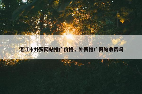 湛江市外贸网站推广价格，外贸推广网站收费吗