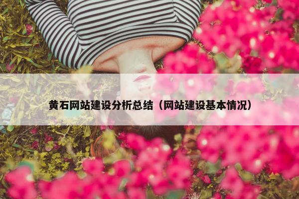 黄石网站建设分析总结（网站建设基本情况）