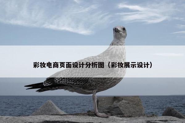 彩妆电商页面设计分析图（彩妆展示设计）