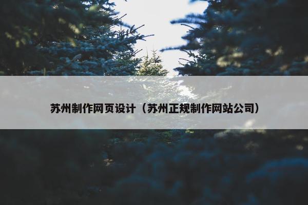苏州制作网页设计（苏州正规制作网站公司）