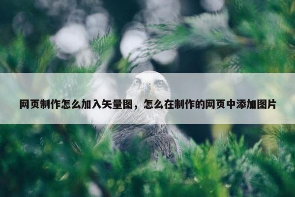 网页制作怎么加入矢量图，怎么在制作的网页中添加图片